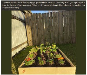 Raised garden bed.